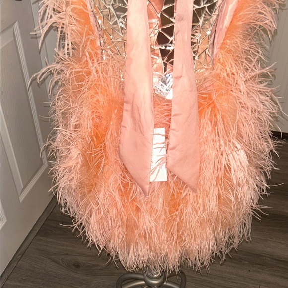 SAFFIYYAH PAUL Ostrich Feather Peach High Neck Open Back Mini Dress M/L - Picture 8 of 16
